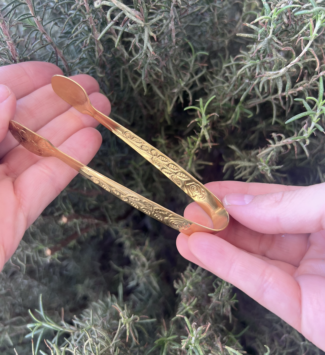 Pinzas para carbón⎮Grabada dorada